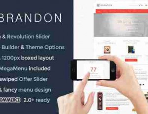 Brandon 企业 WordPress主题1.9.7