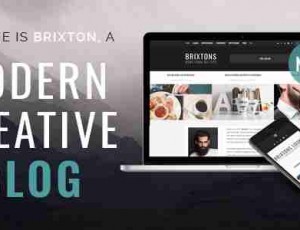 Brixton 专业博客 WordPress主题v5.0