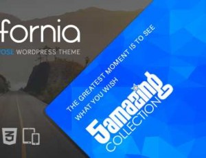 California 多用途 WordPress主题 v1.9.5