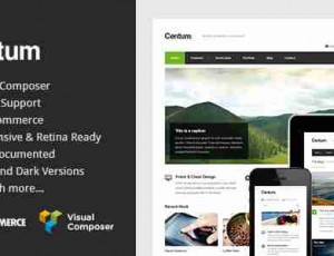 Centum 自适应极简企业 WordPress主题3.3.13