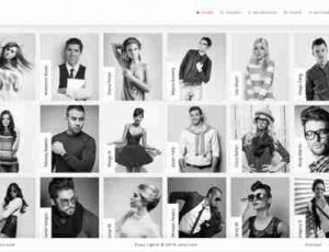 Julia 人才管理 WordPress主题 v2.0.7