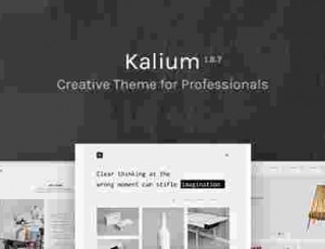 Kalium 创意 WordPress主题 v3.3.1