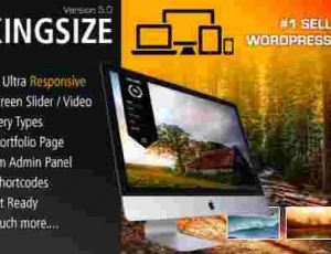 King Size 全屏背景摄影画廊展示wordpress主题6.0