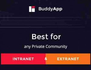 BUDDYAPP V1.9.2-移动第一社区的WORDPRESS主题