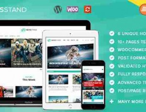 NewsStand杂志/博客/商店的WORDPRESS主题1.0.18