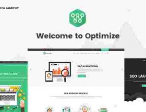 Optimize SEO数字市场网络媒体 WordPress主题1.15