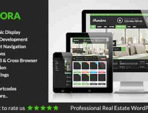 Shandora 地产/汽车租售 WordPress主题2.3.1