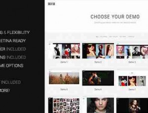 Skylab 摄影&作品展示 WordPress主题3.4