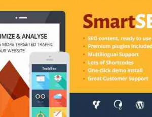 SmartSEO 搜索优化营销 WordPress主题1.6.1