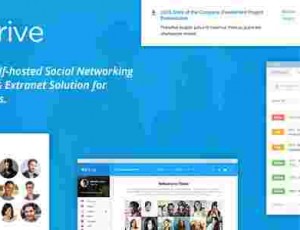 Thrive网络社区WordPress主题3.1.9