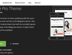 Magazine Pro + Genesis v2.2.6杂志主题