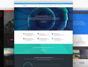 Divi v4.9.10- 最终的WordPress主题和视觉页面生成器