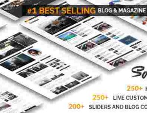 Soledad 博客杂志WordPress主题v7.9.5