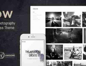 Bow 摄影作品展示 wordpress主题1.8