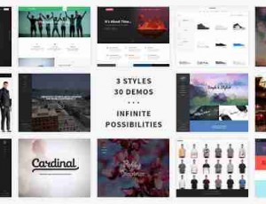 Cardinal 扁平时尚创意 WordPress主题2.6.33