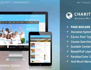 Charity Hub 慈善捐助 WordPress主题1.3.4