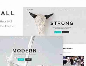 Conall v1.2.1用途WordPress主题