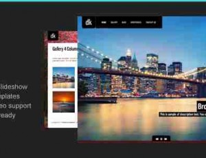 DK 全屏摄影展示WordPress主题2.7