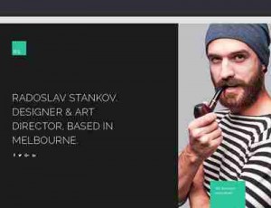 DW Resume 1.0响应简历WordPress主题