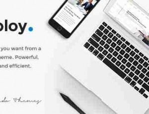 Deploy 商务公司 WordPress主题
