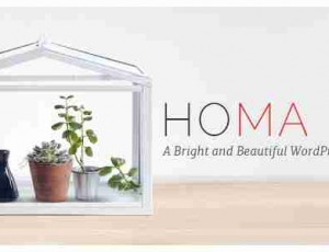 Homa 多用途 WordPress主题1.6.1