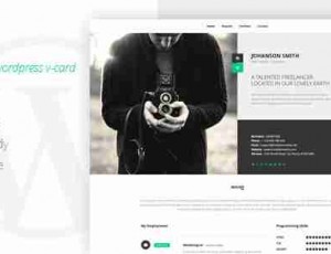 NEW Vcard WordPress主题