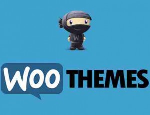 WooThemes主题包- 2016更新