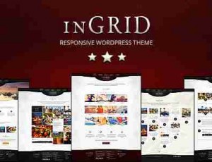 InGRID 多用途wordpress主题1.9.4