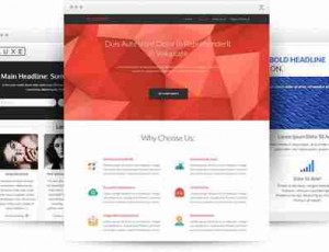 thrivethemes 10个高级 WordPress主题 v1.200.5