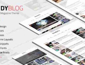 TrendyBlog 多用途杂志 WordPress主题2.1.0