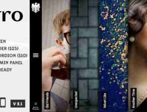 Astro 案例展示/摄影 WordPress主题5.5