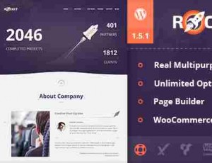 Rocket创意多用途的WordPress主题2.8.4