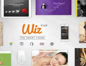 Wiz v3.0.4 -智能多用途的WordPress主题