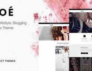 Kloe应用-时尚多功能WordPress主题