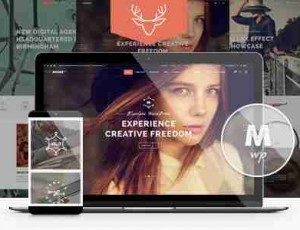 Moose v3.1 -多用途WordPress主题