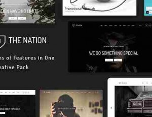 Nation多用途的WordPress主题