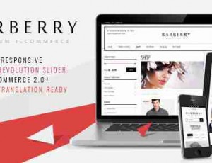 Barberry 购物 wordpress主题 v2.9.5