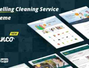 Cleanco 干净企业 WordPress主题3.2.2