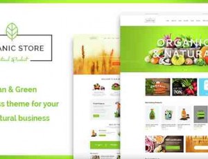 Organic Store 原生绿色保健美食农果 WordPress主题