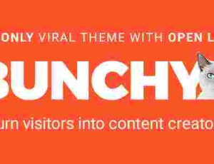 Bunchy wordPress主题开放列表v1.0.6
