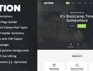 Action V1.3.2 – 健身WordPress主题