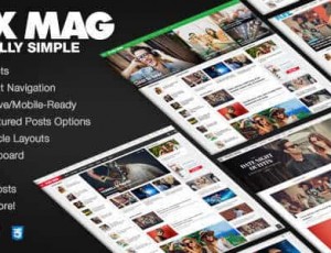 Flex Mag v3.2.0 -响应WordPress新闻主题