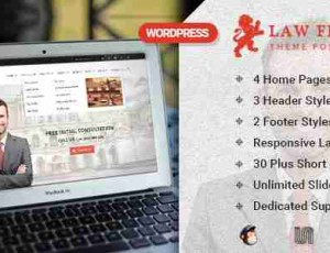 Law Firm v3.0.3 WordPress业务主题