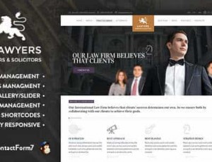 Law Practice v3.3- 律师业务主题