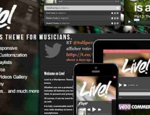 Live! v2.0.6.9 -音乐WordPress主题