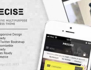 Precise1.1.2 -多用途响应WordPress主题