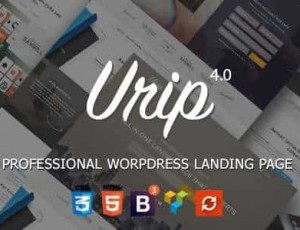 Urip v8.3 – 专业WordPress的着陆页