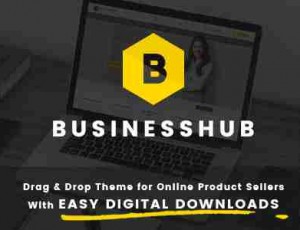 Business Hub v1.1.5-在线业务的响应WordPress主题