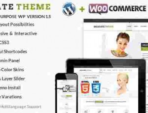 delicate-v3.2清洁多用WordPress主题