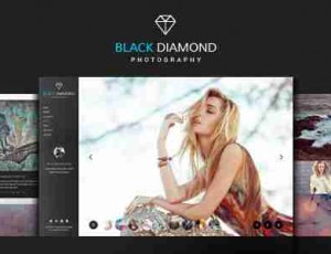 DIAMOND v1.9.4摄影WordPress主题